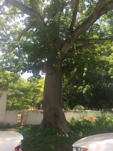 Imagen 9 de 30 de Hacienda En Venta En Campeche