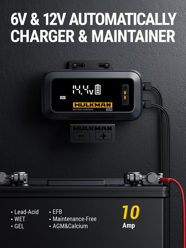 Cargador De Batería Coche 10a 12v 6v Mantenedor Desulfatador