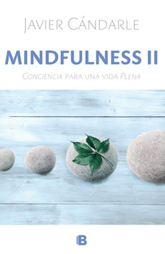 Mindfulness Ii