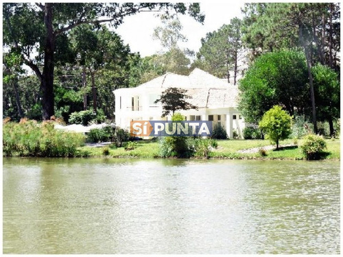Imagen 5 de 30 de Apartamento En Alquiler Anual