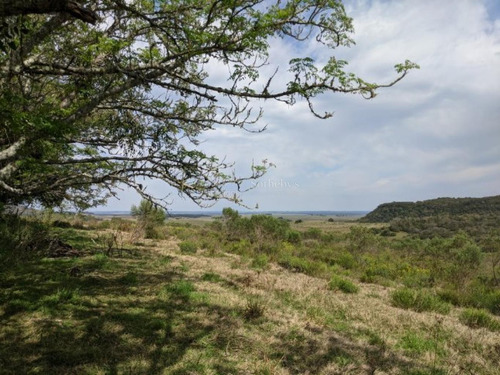 Chacra En El Departamento De Rivera