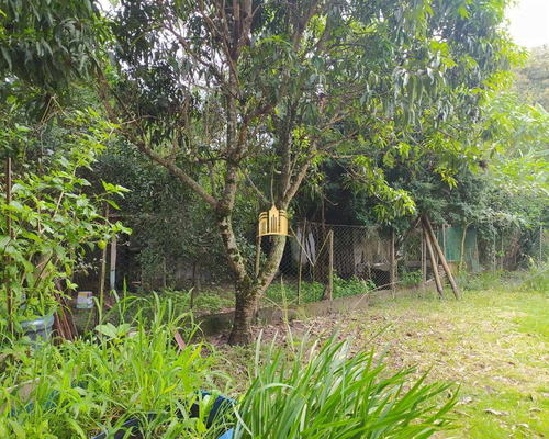 Imagem 13 de 30 de Sitio Em Esmeraldas - St00116 - 69241283