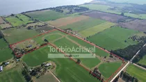Comprar Excelente Chacra De 14 Has. En San Pedro, Importantes Mejoras Y Próxima A La Playa