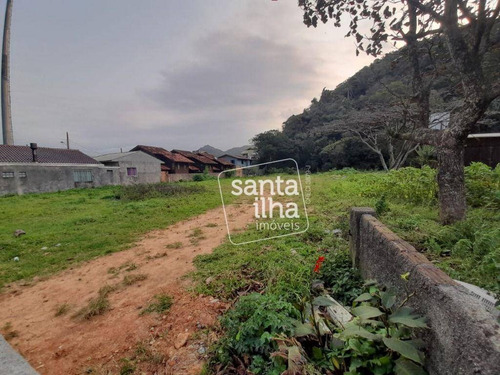 Imagem 3 de 9 de Terreno Com Excelente Localização Na Armação - Te1014