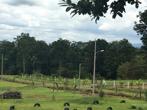 Imagen 9 de 18 de Quintas De 5000 M2 En Sarapiquí Con Y Sin Construcción Desde 25 Millones De Colones