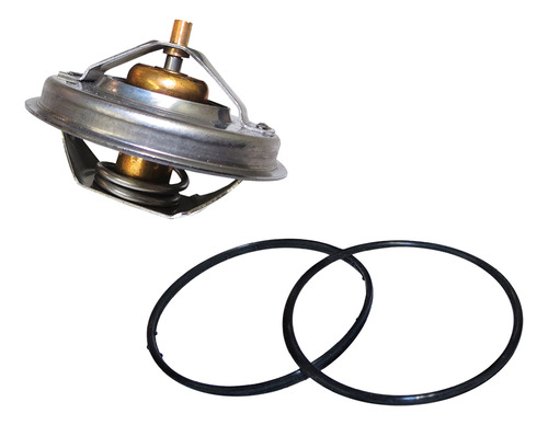 Termostato Meistersatz Para Vw Bora 2.5l 2005-2010