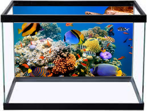Papel De Parede Adesivo Person. Mar Aquario 40cm X 1,30 Mts