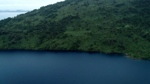 Remate - Futrono/lago Ranco - 60 Hectáreas
