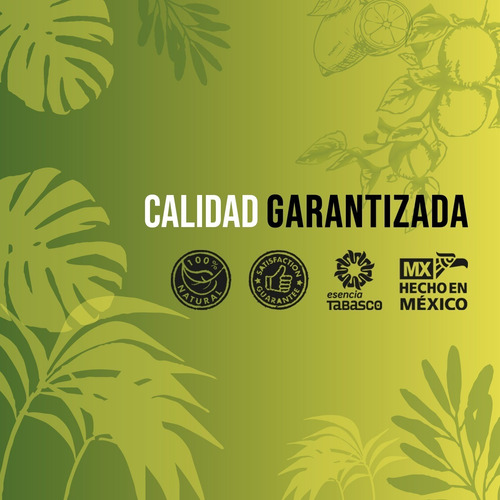 Fertilizante Foliar Orgánico Máxima Nutrición 20 L Cítricos