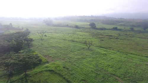 Finca 58 Hectareass, 90% Plana , Agua, Electricidad , Documentos En Bejuma Carabobo 2