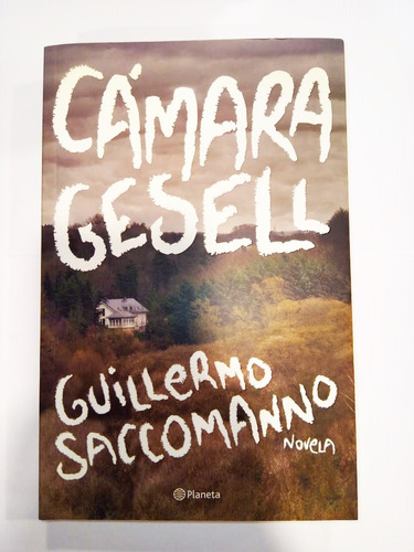 Cámara Gesell - Guillermo Saccomanno