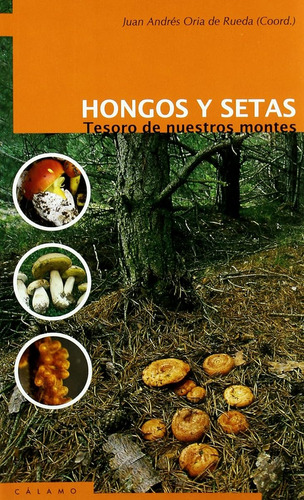 Hongos Y Setas: Tesoro De Nuestros Montes (guias) / Juan And