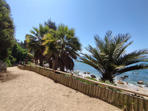 Departamento En Condominio Con Bajada A La Playa En Horcón