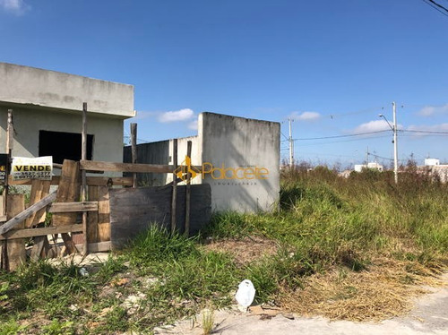 Imagem 7 de 7 de Casa Térrea Com 2 Quartos - 595201-v