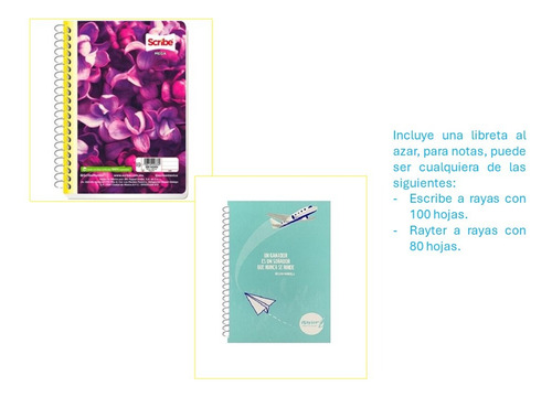 Set De Escritura Escolar Primaria/secundaria + Regalo
