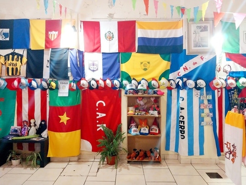 Imagen 5 de 7 de Bandera De República Argentina, De Buena Calidad, Grande,