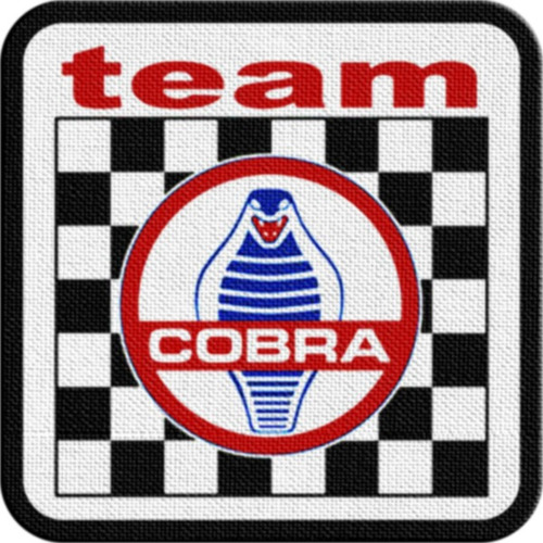 Parche Termoadhesivo Team Cobra