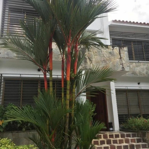 Imagen 7 de 8 de Vendo Hermosa Casa, Diseño Moderno, En Urb. Prebo Ii