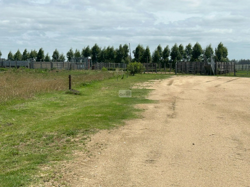 Venta De Campo Agricola Ganadero En Florida