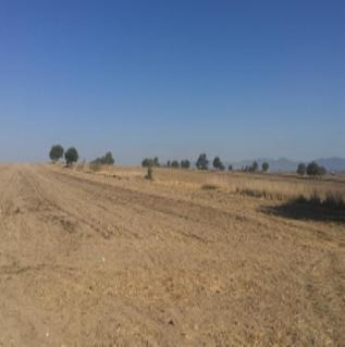 Imagen 1 de 5 de Terreno - San José Chiapa