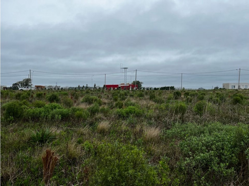 Vendo Lote De 1 Hectárea En San Justo, Entre Ríos.