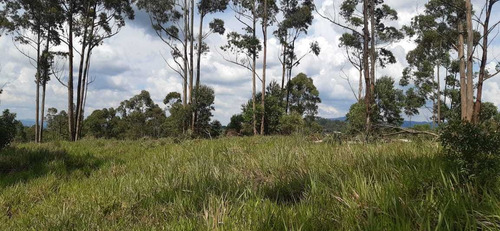 Ar Terrenos Plainos 1000m² Com Doc Ok