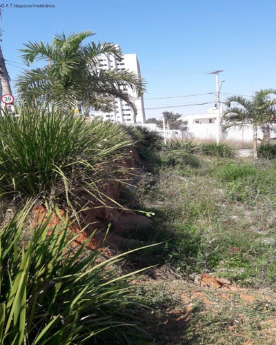 Imagem 5 de 8 de Terreno Para Locação No Jardim São Carlos - Sorocaba/sp - Tr03782 - 68449022