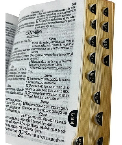 Biblia Letra Grande Com Harpa Luxo Preta - 16x12cm