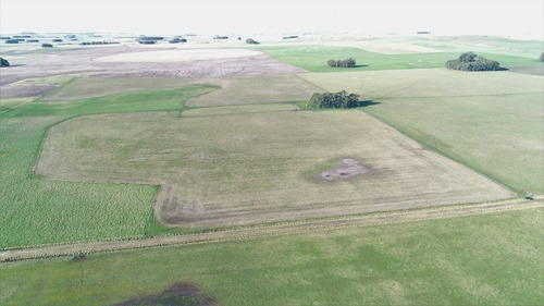 Imagen 5 de 28 de Campo 39 Has. Agrícolas Con Mejoras - Zona Dos Naciones