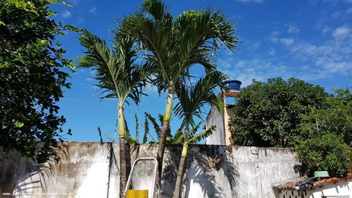 Imagem 10 de 13 de Casa Para Venda Em Natal, Pitimbu, 3 Dormitórios, 1 Banheiro, 4 Vagas - Kc 0358_2-1167693