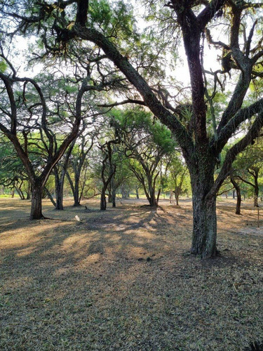Imagen 4 de 13 de Terreno De 3962 M2 En Bosque Encantado
