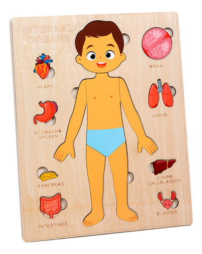 Puzzles Montessori: Cuerpo Humano, Órgano Extraíble
