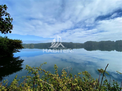 Imagen 15 de 30 de Sitio 5.000m2 Oferta Orilla Rio Navegable En Venta En Toltén