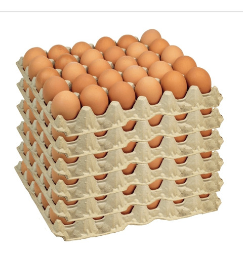 Huevos Extra Gallinas Libres (100 Unid)