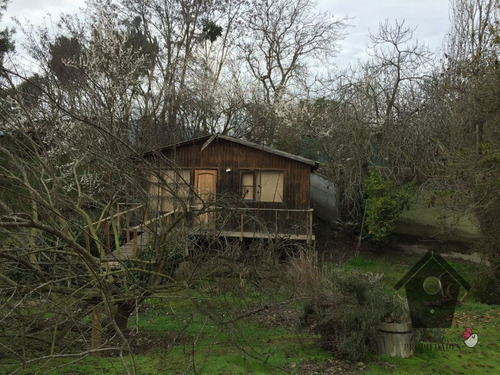 Casa En Olmue, 2d 1b, 100/2000m2 + Cabaña 24m2