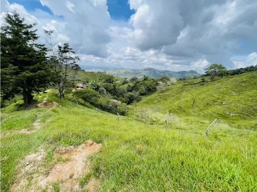 Se Vende Finca De 7 Hectáreas En San Roque, Antioquia