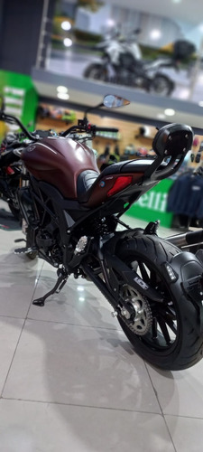 Imagen 9 de 20 de Benelli 502c Okm Tamburrino Motos