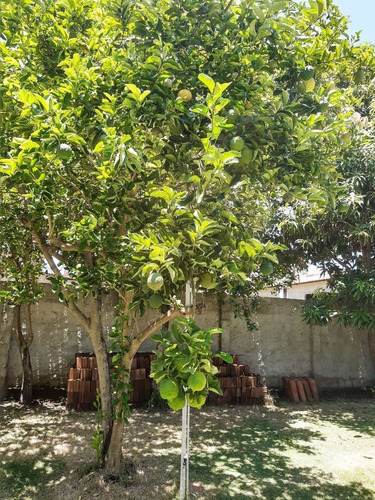 Imagem 18 de 25 de Casa A Venda Sibauma