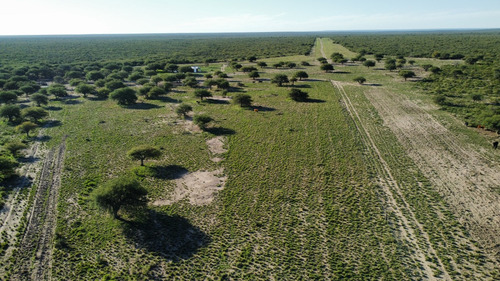 Campo De 2.500 Has. Cuchillo Có, Departamento De Lihue Cale, Provincia De La Pampa.