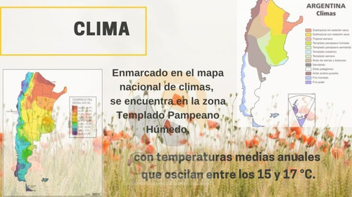 Imagen 8 de 12 de Campo De 50 Has En Venta En Distrito De #trenquelauquen