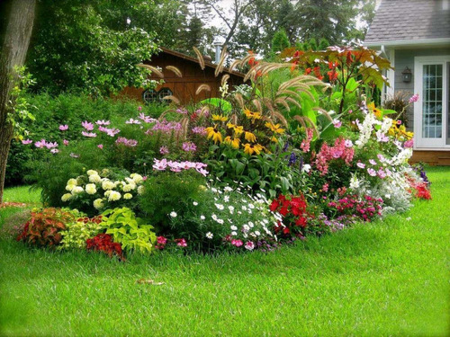 Semillas Para Jardín De Clima Cálido