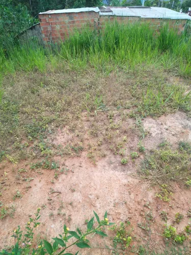 Dos Lotes En Un Solo Predio Con Escrituras