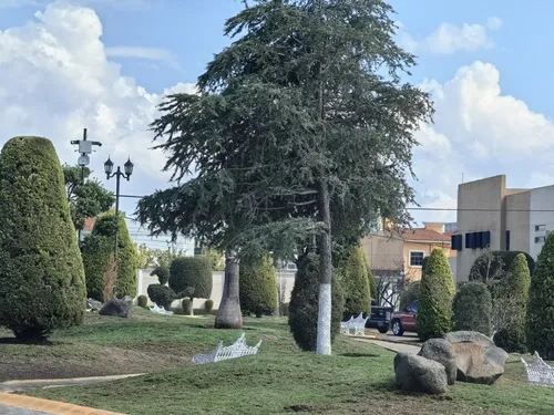 Renta Casa Arboledas De San Javier 3a