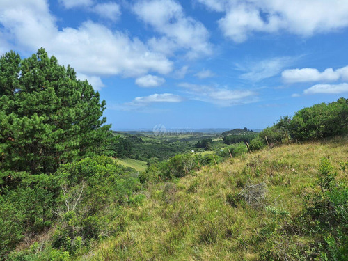 Venta Chacra Pueblo Eden Ruta 12 Sierras
