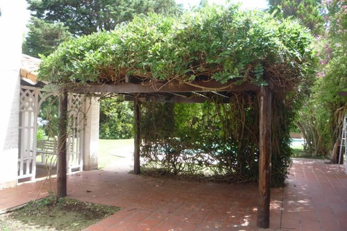 Quinta Inti - Anti
