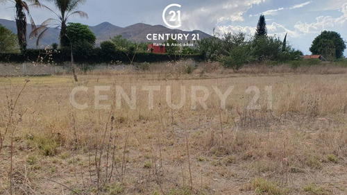 Se Venden 3 Lotes De Terreno En Tlalixtac