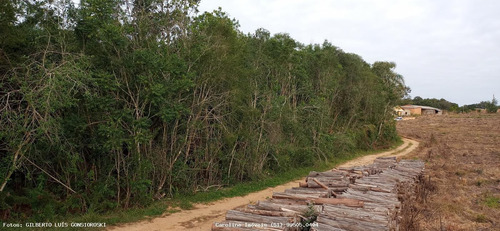 Imagem 11 de 15 de Terreno Para Venda Em Mariana Pimentel, Linha Alves - 1244_1-1843088