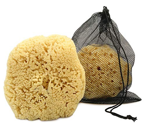 Esponja Real Sea Para Hombre, Extra Grande De 6 A 7 Pulgadas