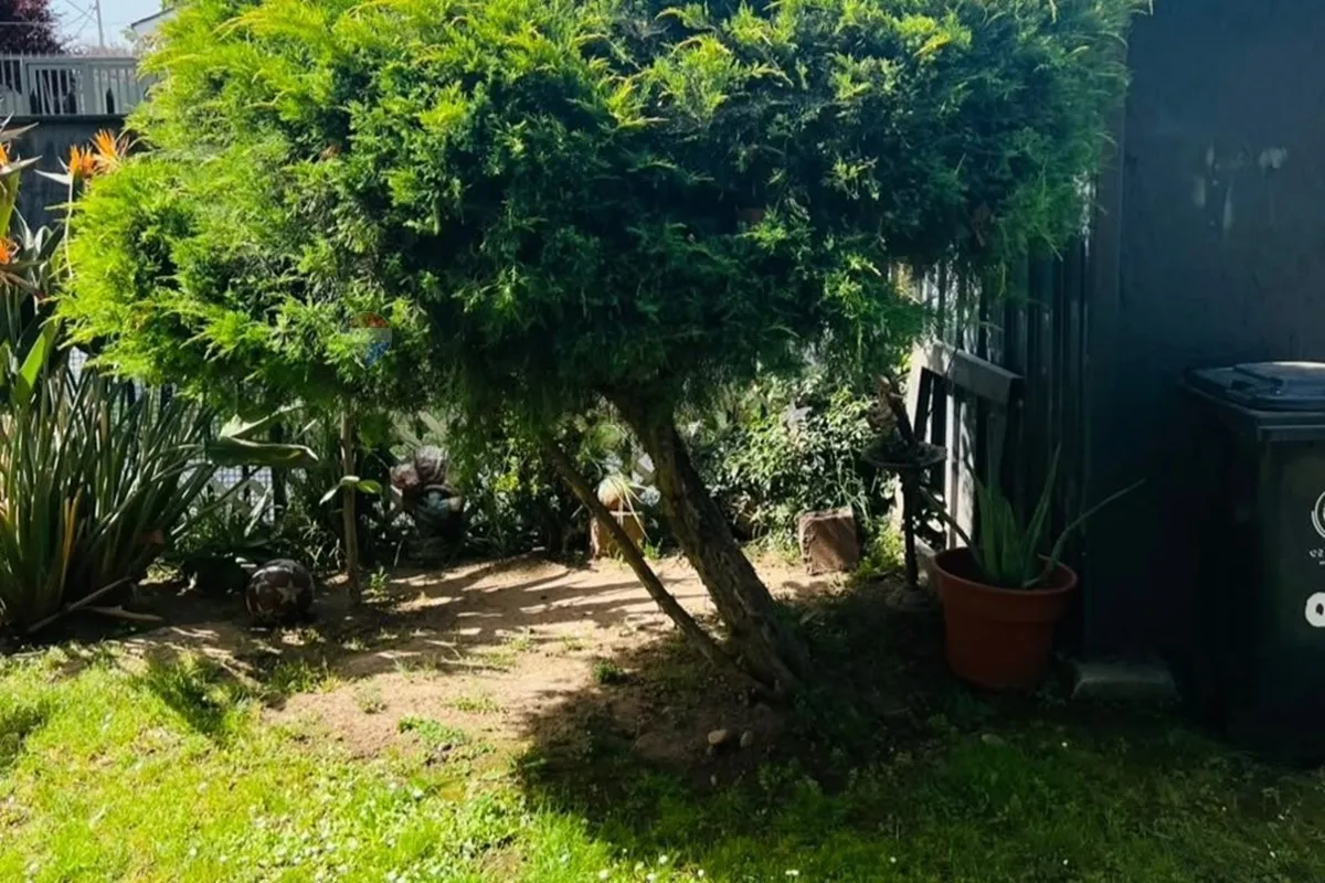 Imagen 2 de 9 de Casa En Venta En La Florida: ¡inversión Ideal!