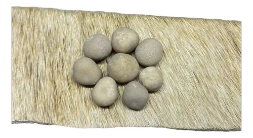 comprar Amuleto Esotérico Atrae Dinero Piedra Coyote